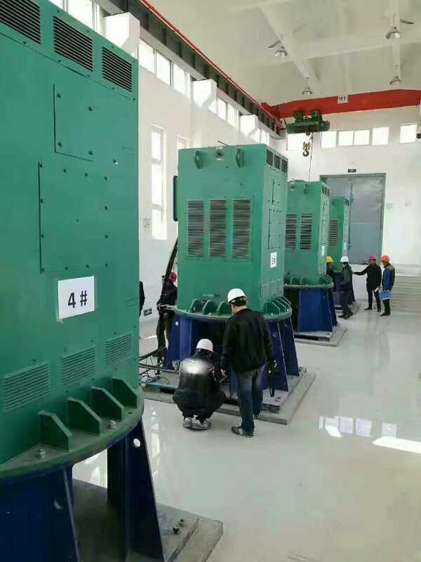 YJTFKK5602-8某污水处理厂使用我厂的立式高压电机安装现场