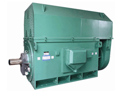 YJTFKK5602-8Y系列6KV高压电机